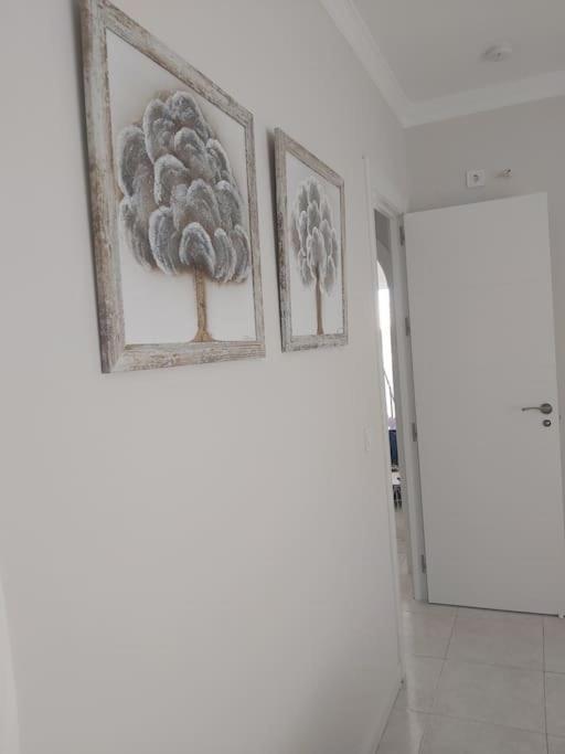 360° Seaview Benalbeach Apartment Беналмадена Екстериор снимка